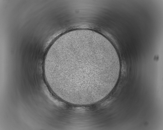 X0000110950394200907311047