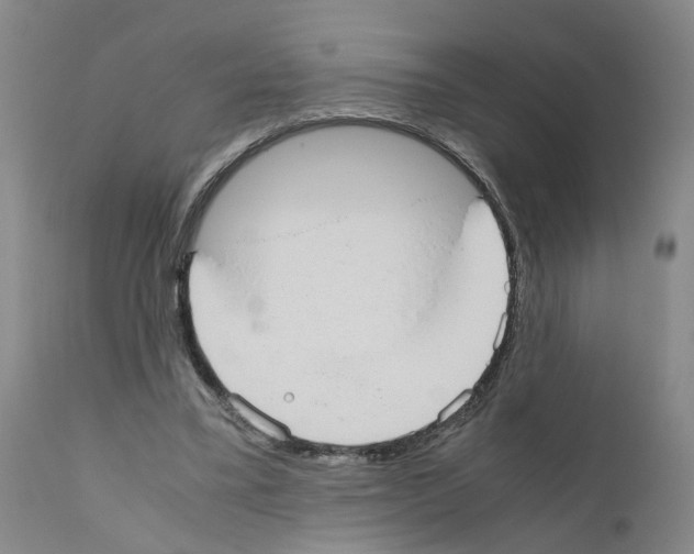 X0000110950395200907311047