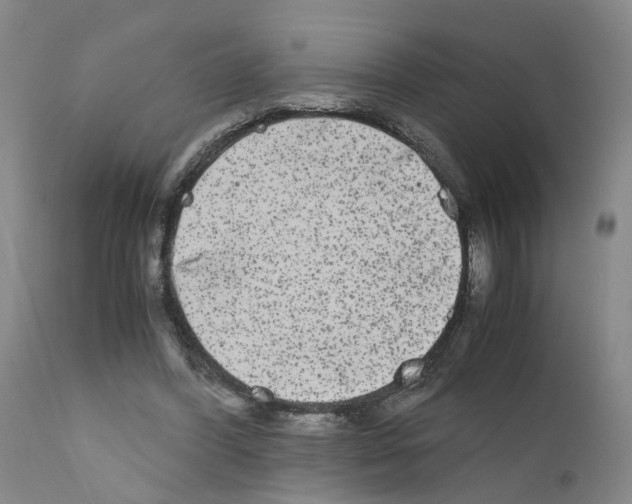 X0000110950396200907311047