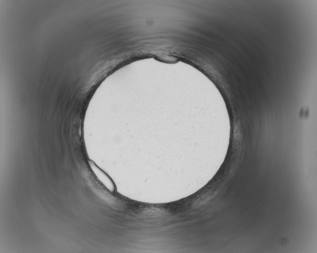 X0000110950397200907311047