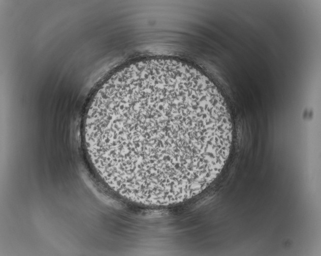 X0000110950398200907311047