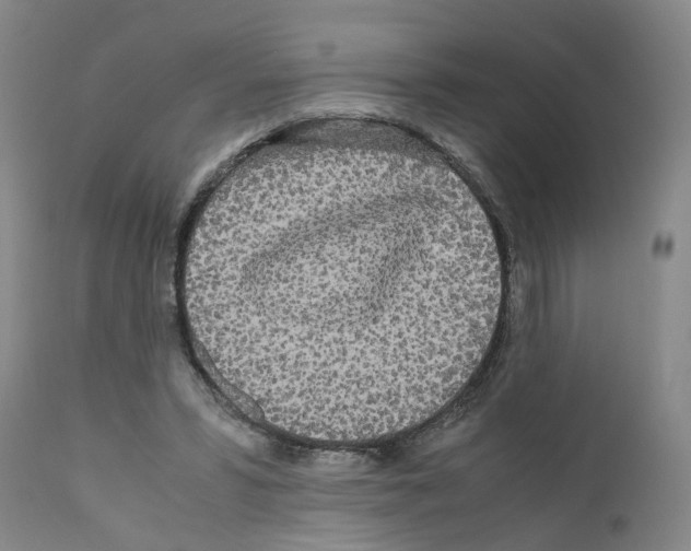 X0000110950399200907311047