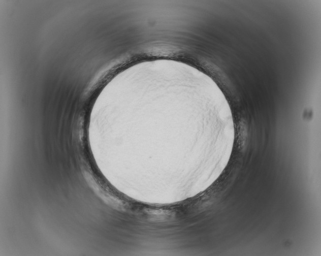 X0000110950400200907311047
