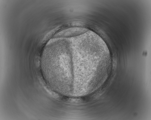 X0000110950401200907311047