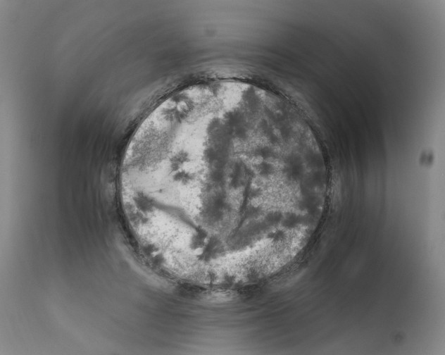 X0000110950402200907311047