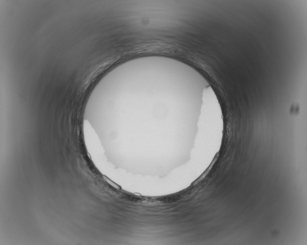 X0000110950403200907311047