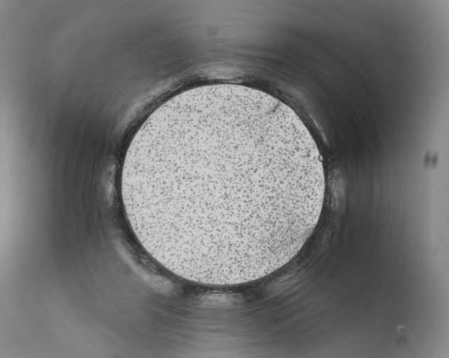 X0000110950404200907311047