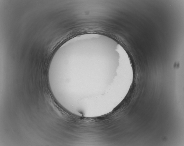 X0000110950405200907311046