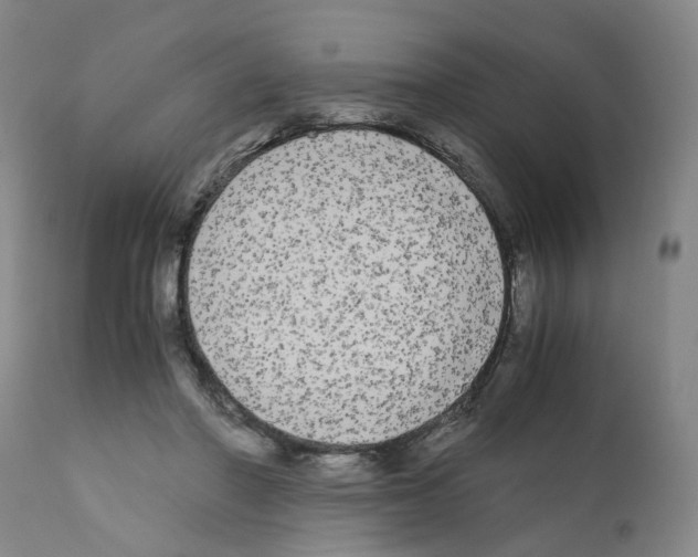 X0000110950406200907311046