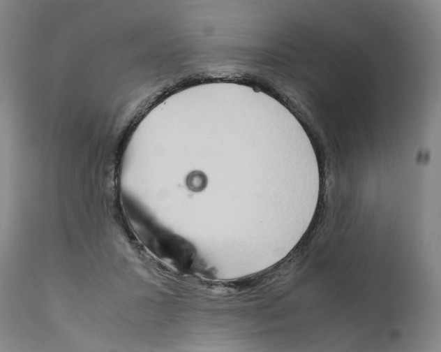 X0000110950407200907311046