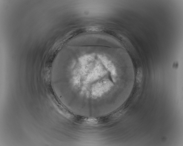 X0000110950409200907311046