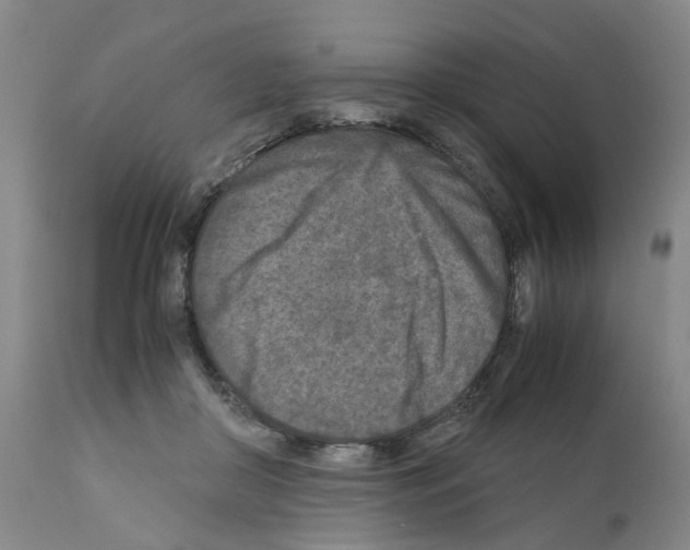 X0000110950410200907311046
