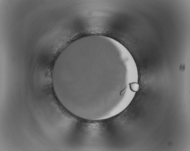 X0000110950411200907311046