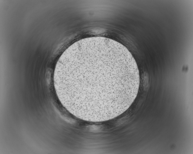 X0000110950412200907311046