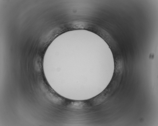 X0000110950414200907311046