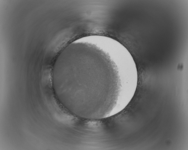 X0000110950415200907311046