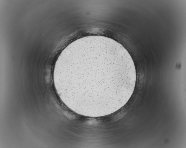X0000110950416200907311046