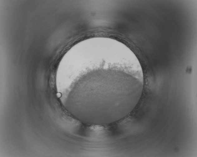 X0000110950419200907311046