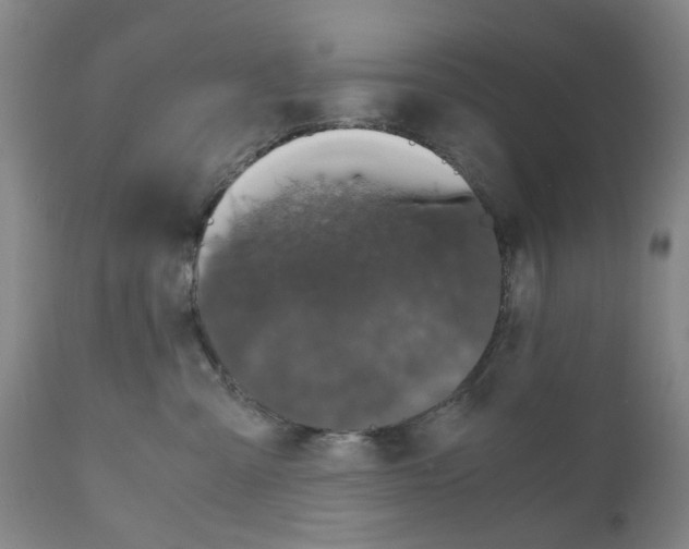 X0000110950427200907311046