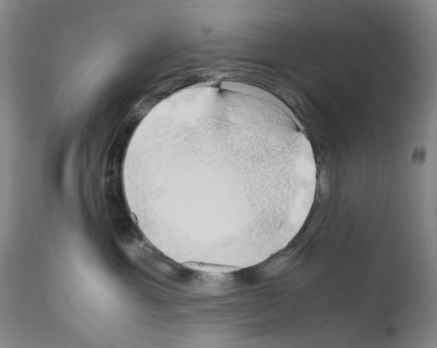X0000110950429200907311046