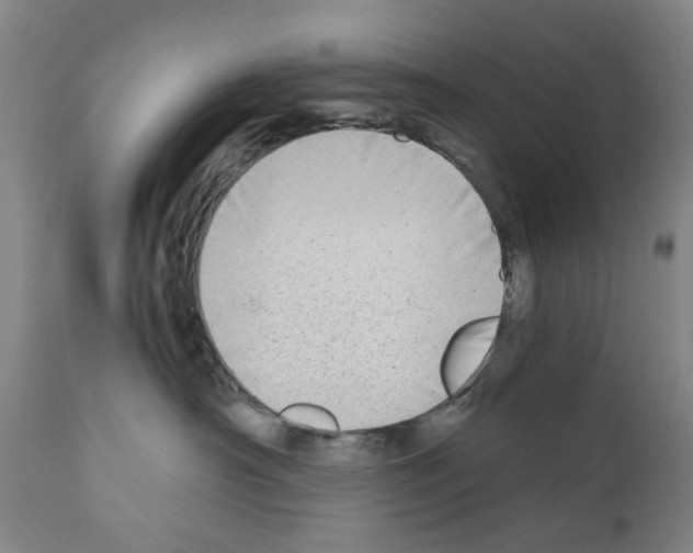 X0000110950430200907311046