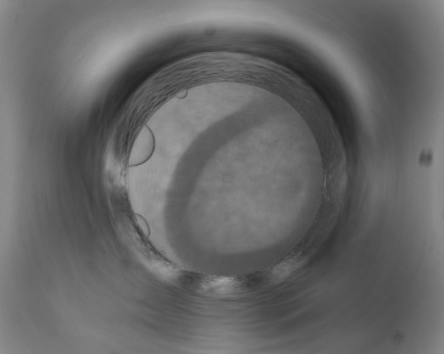 X0000110950431200907311046