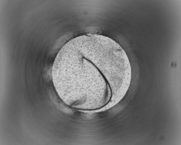 X0000110950432200907311046
