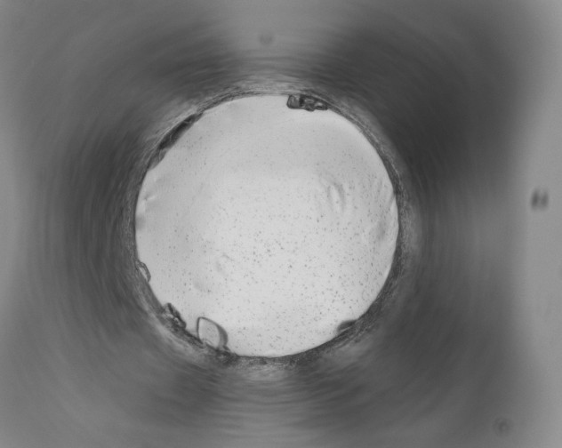 X0000110950433200907311045