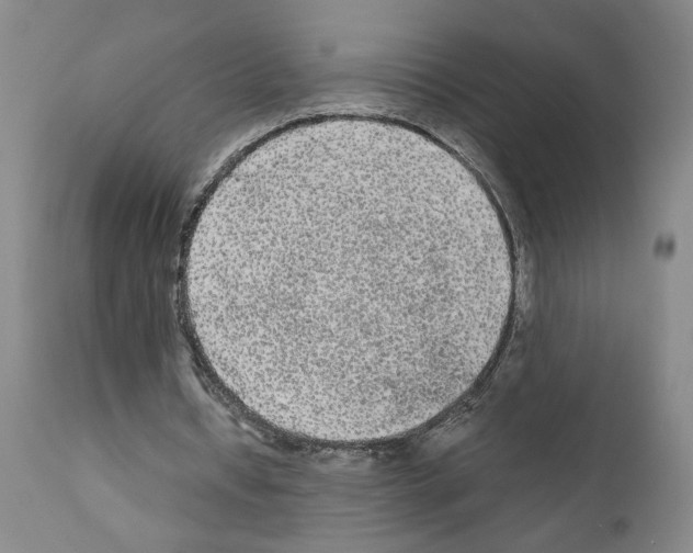 X0000110950434200907311045