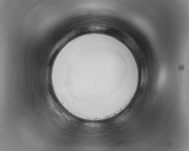 X0000110950435200907311045