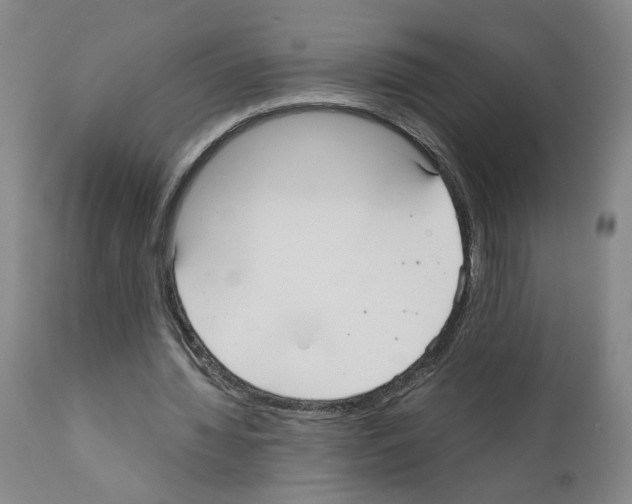 X0000110950436200907311045