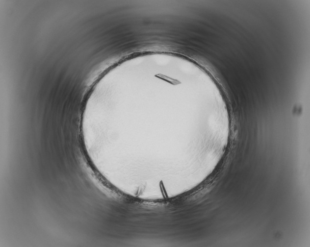 X0000110950437200907311045