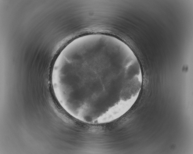 X0000110950438200907311045