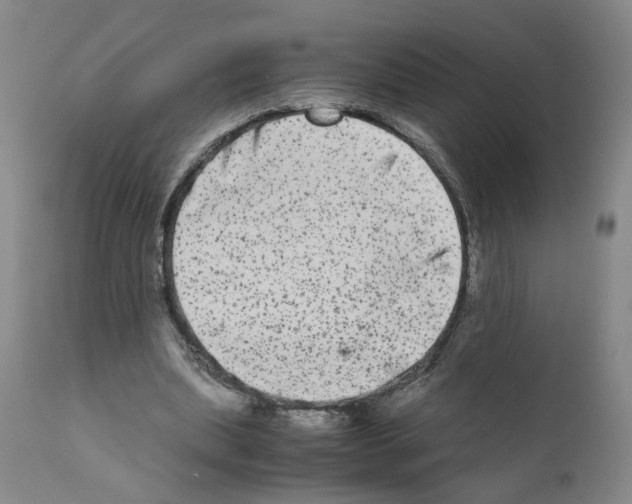 X0000110950439200907311045