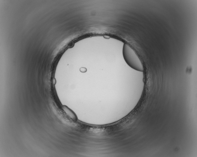 X0000110950440200907311045