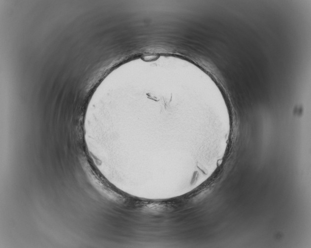 X0000110950441200907311045