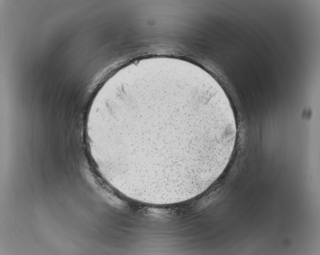 X0000110950442200907311045