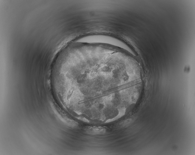 X0000110950443200907311045