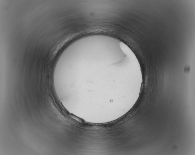 X0000110950444200907311046