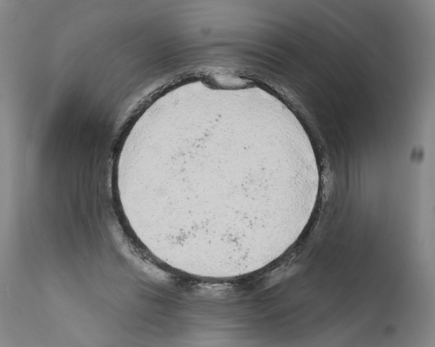 X0000110950446200907311046