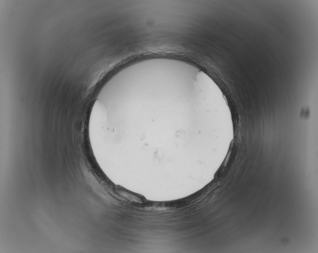 X0000110950448200907311046