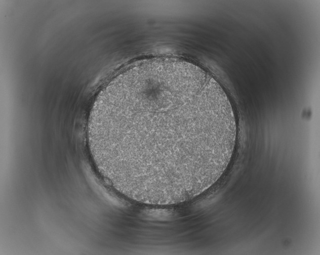 X0000110950449200907311046