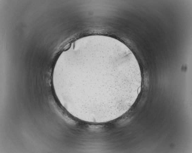 X0000110950450200907311046