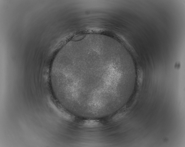 X0000110950451200907311046