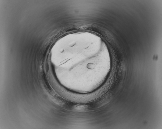 X0000110950452200907311046