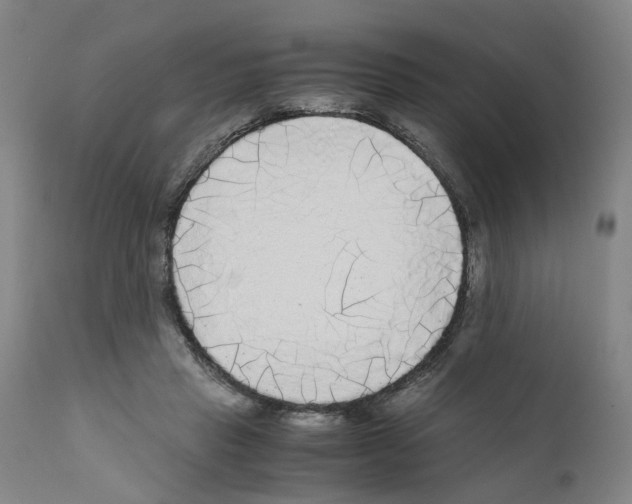 X0000110950453200907311046