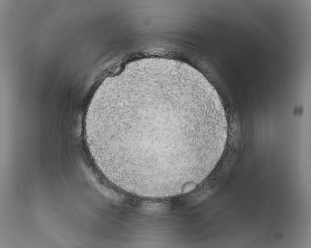 X0000110950454200907311046