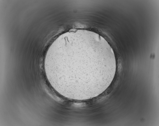 X0000110950455200907311046