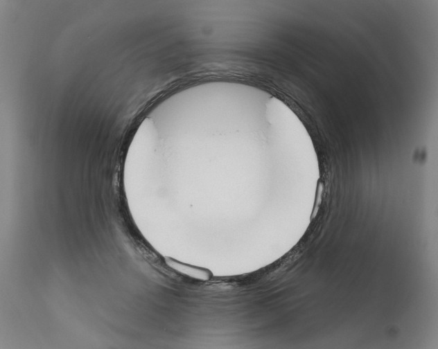 X0000110950456200907311046