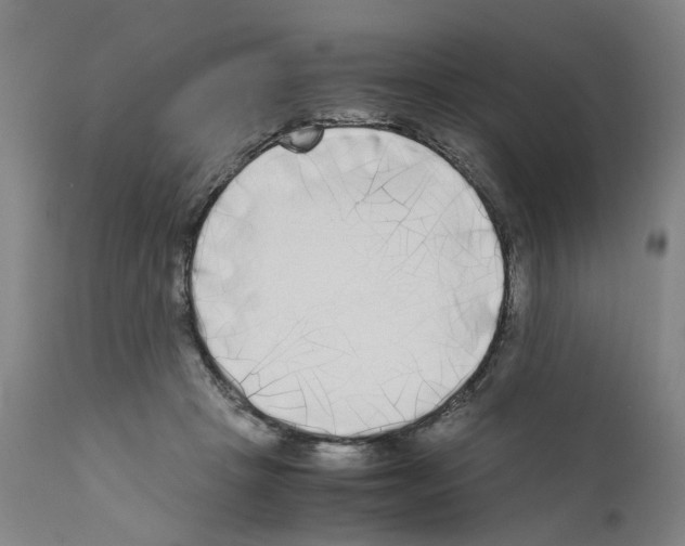 X0000110950457200907311046